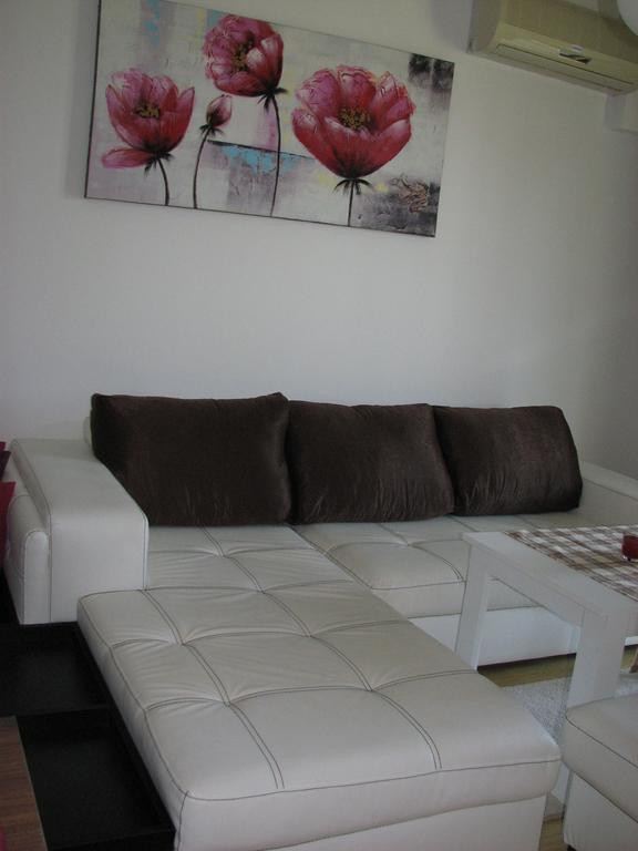 Two-Bedroom Apartment Donika 茨雷沃 外观 照片
